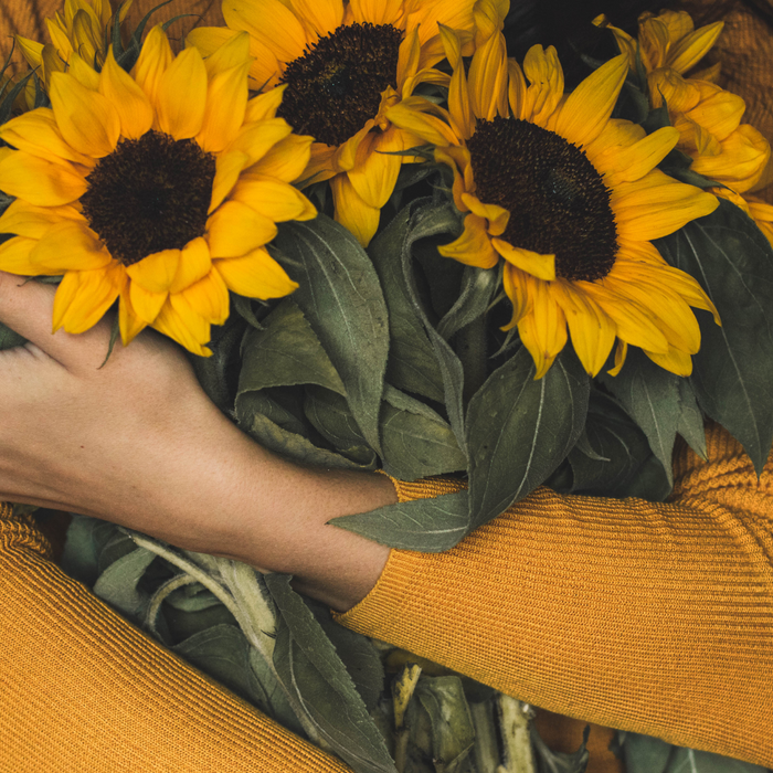 woman holding sunflowers